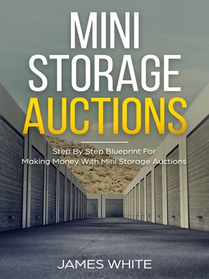 cover image of Mini Storage Auctions